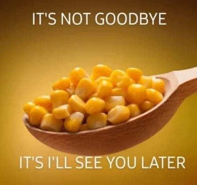 funny memes - dank memes - corn its not goodbye - It'S Not Goodbye It'S I'Ll See You Later