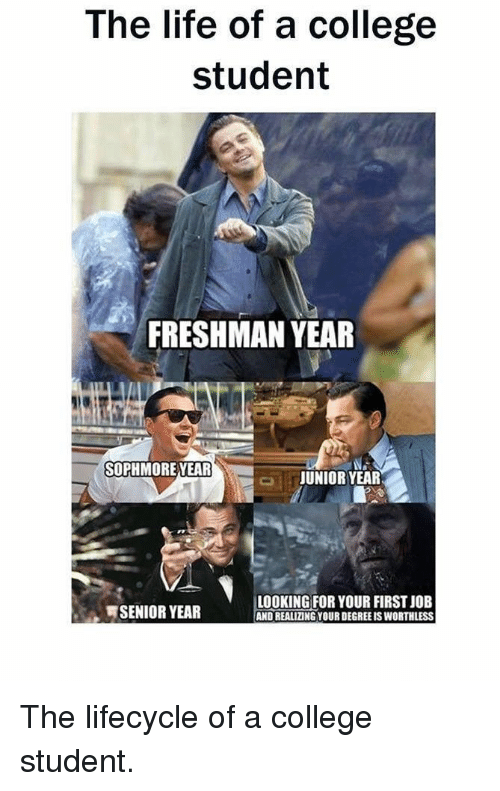 27 pictures for those heading back to uni