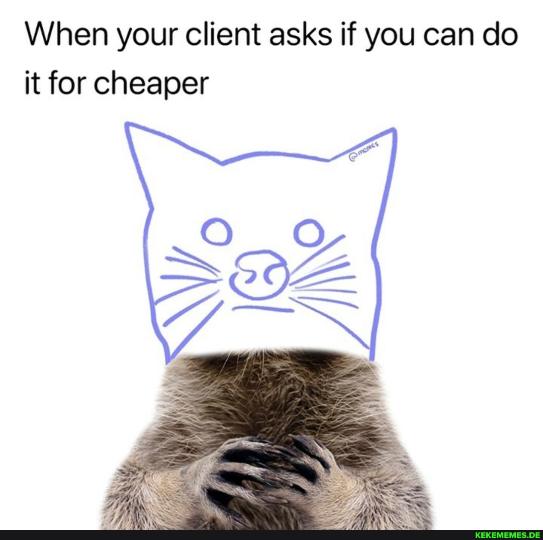 people who knew someone one who could do it cheaper - raccoon with white background - When your client asks if you can do it for cheaper Kekememes.De