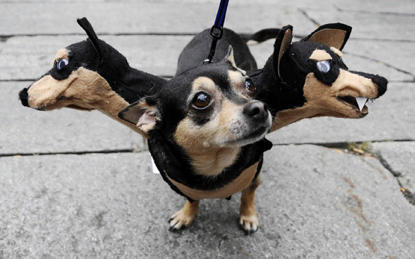 58 freaky and funny Halloween costumes