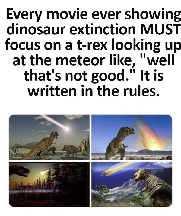 Movie memes - fauna - Every movie ever showing dinosaur extinction Must focus on a trex looking up at the meteor ,
