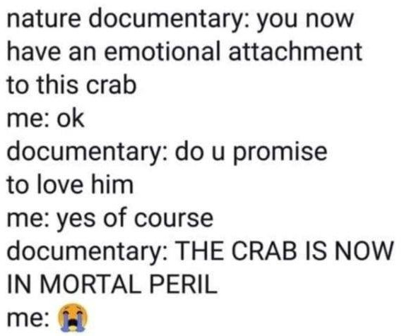 Movie memes - nonconformity - nature documentary you now have an emotional attachment to this crab me ok documentary do u promise to love him me yes of course documentary The Crab Is Now In Mortal Peril me