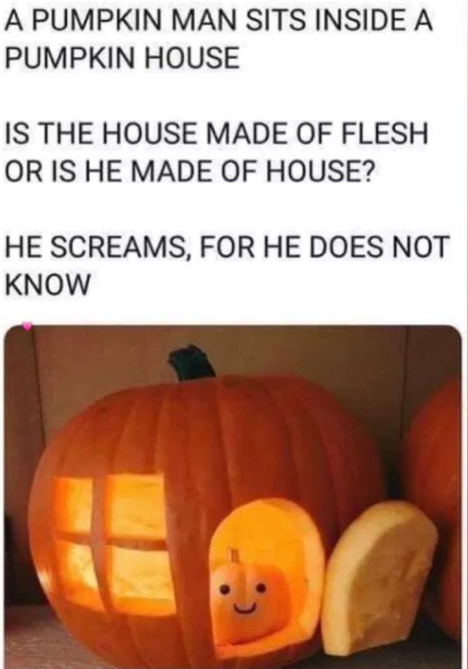 41 pumpkin ideas