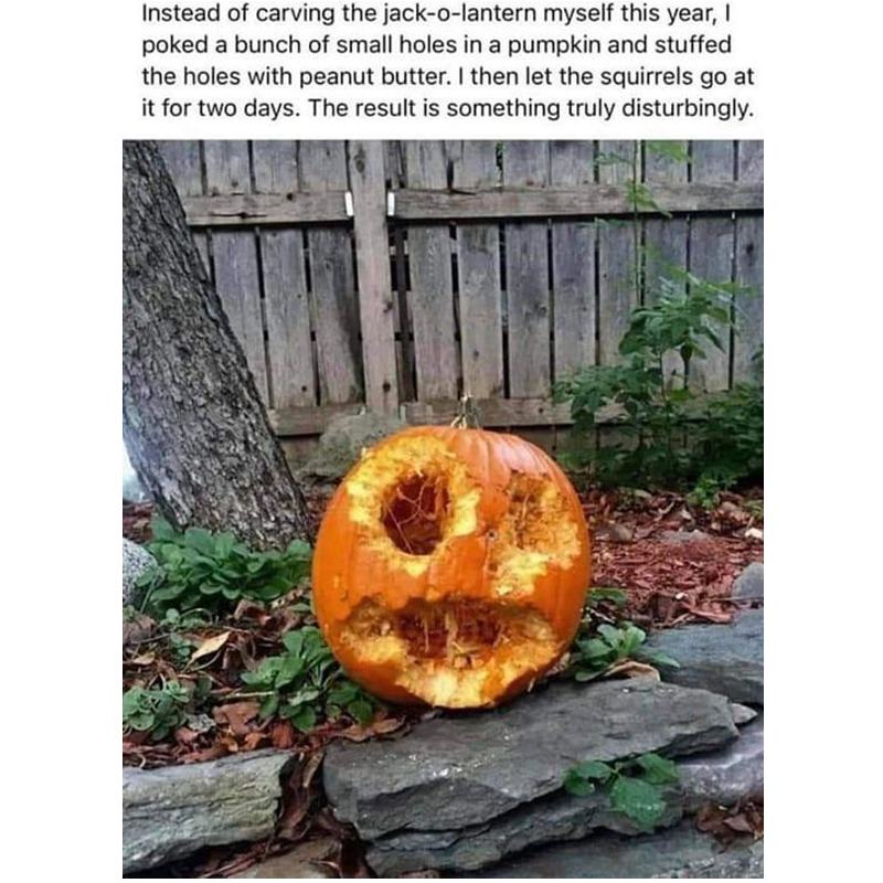 41 pumpkin ideas