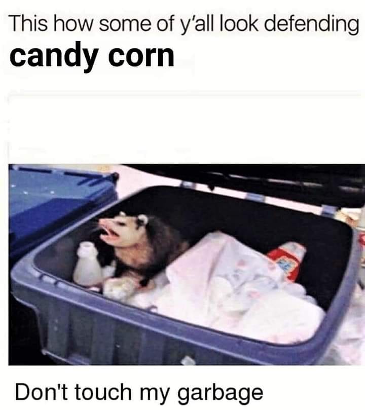 34 spooktacularly funny Halloween Memes