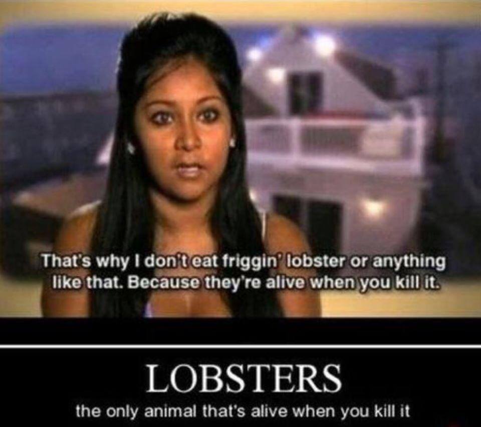 People being dumb - they re alive when you kill - That's why I don't eat friggin' lobster or anything that. Because they're alive when you kill it. Lobsters the only animal that's alive when you kill it