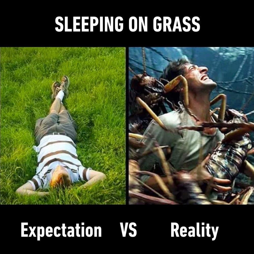 Expectations vs Reality memes - expectations reality - Sleeping On Grass Expectation Vs Reality