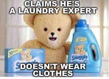 Expectations vs Reality memes - snuggle bear meme - Claims He'S A Laundry Expert 30% 30 Snuggle Sdoesn'T Wear Clothes