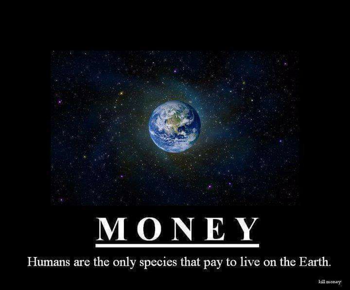 Expectations vs Reality memes - Humans are the only species that pay to live on the Earth. kill money