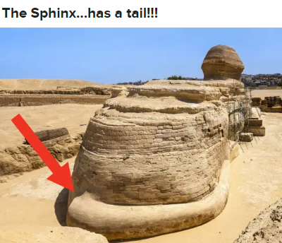 Expectations vs Reality memes - great sphinx of giza - The Sphinx...has a tail!!!