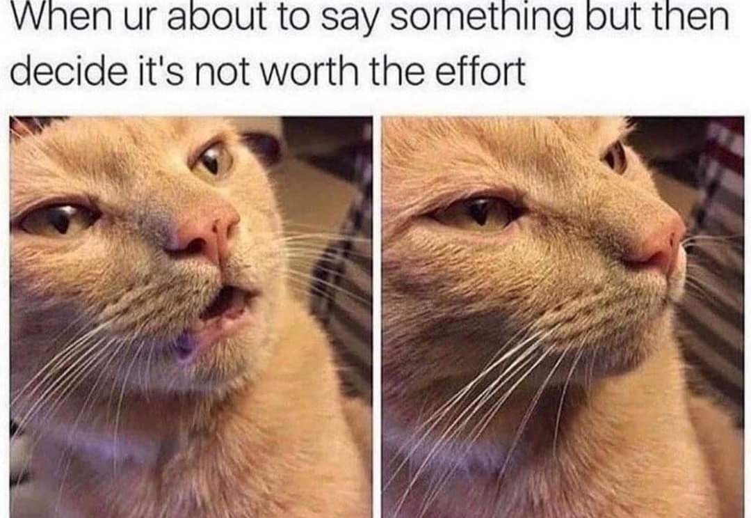 40 funny relatable memes