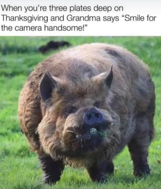 46 Hilarious Pre-Thanksgiving Memes