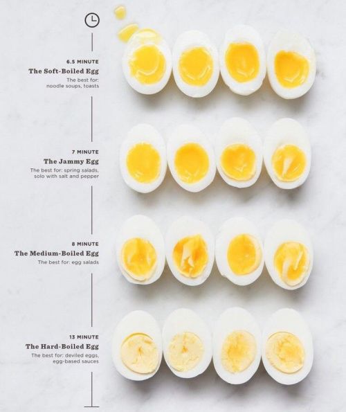 29 infographics for every kitchen