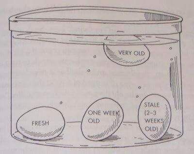 29 infographics for every kitchen