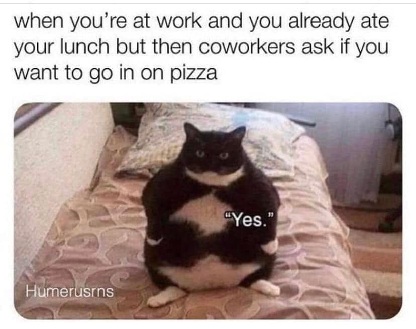 28 work life relatables