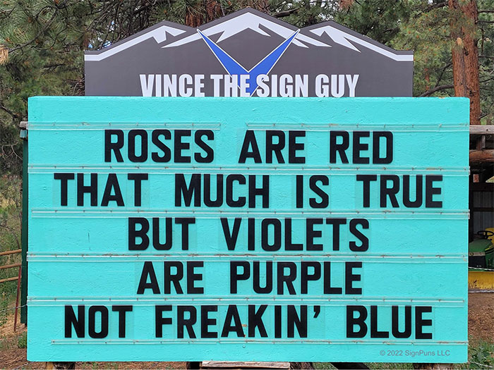 signs you need a new sign - sign - Vince The Sign Guy Roses Are Red That Much Is True But Violets Are Purple Not Freakin' Blue 2022 SignPuns Llc