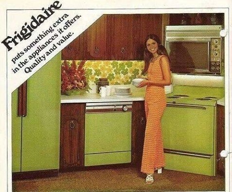 They say everything makes a comeback some day, can we collectively agree never to bring back avocado green appliances?