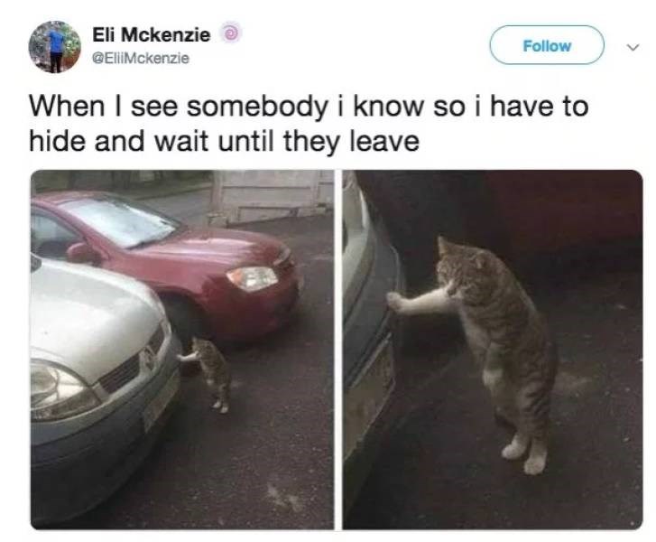 48 memes for the antisocial ones