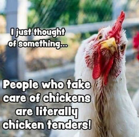 For the chicken people