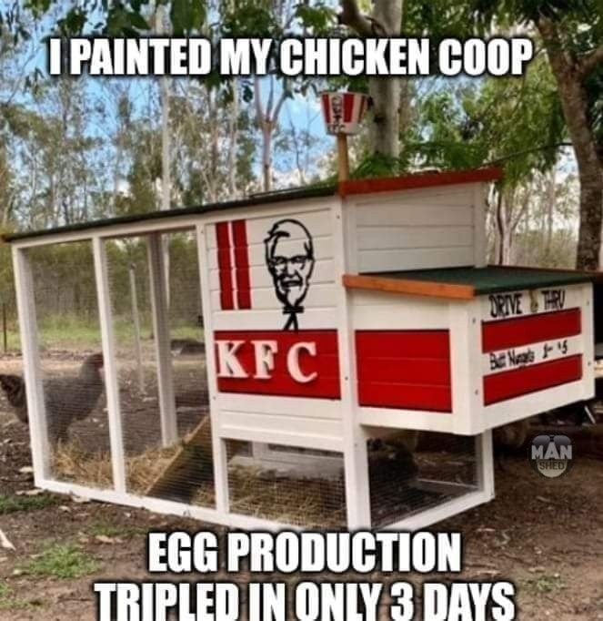 For the chicken people