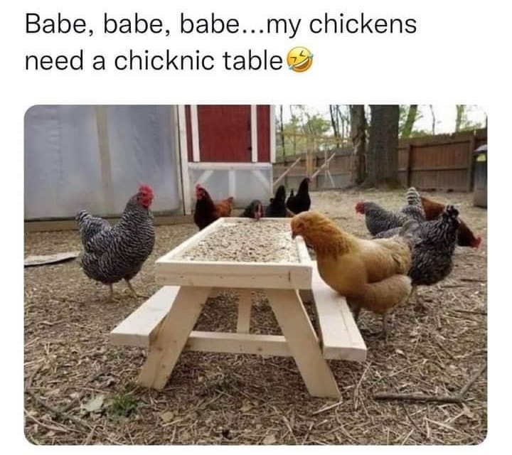 For the chicken people