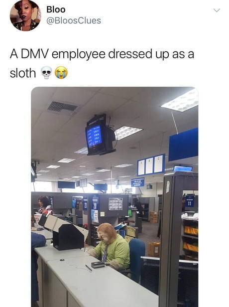 28 memes about the DMV