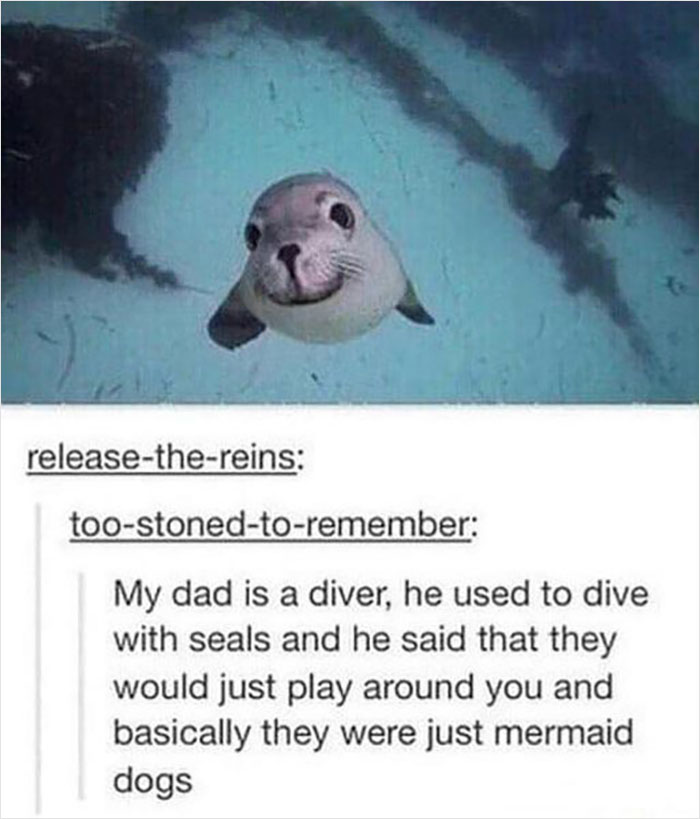 27 undeniably happy wholesome posts to share