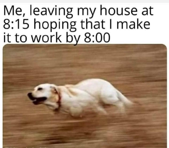 40 memes that depict work life