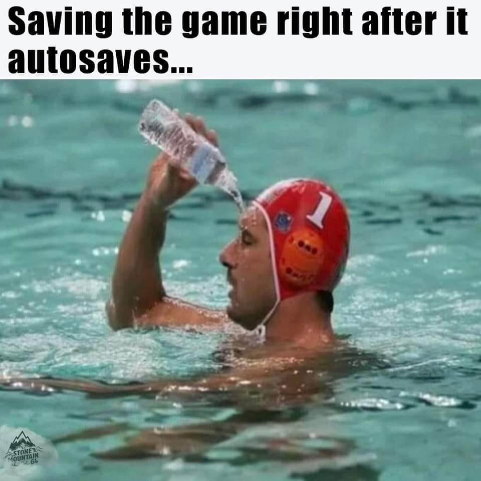 memes about internet life and culture -  save water memes - Saving the game right after it autosaves... Stone Mountain 64