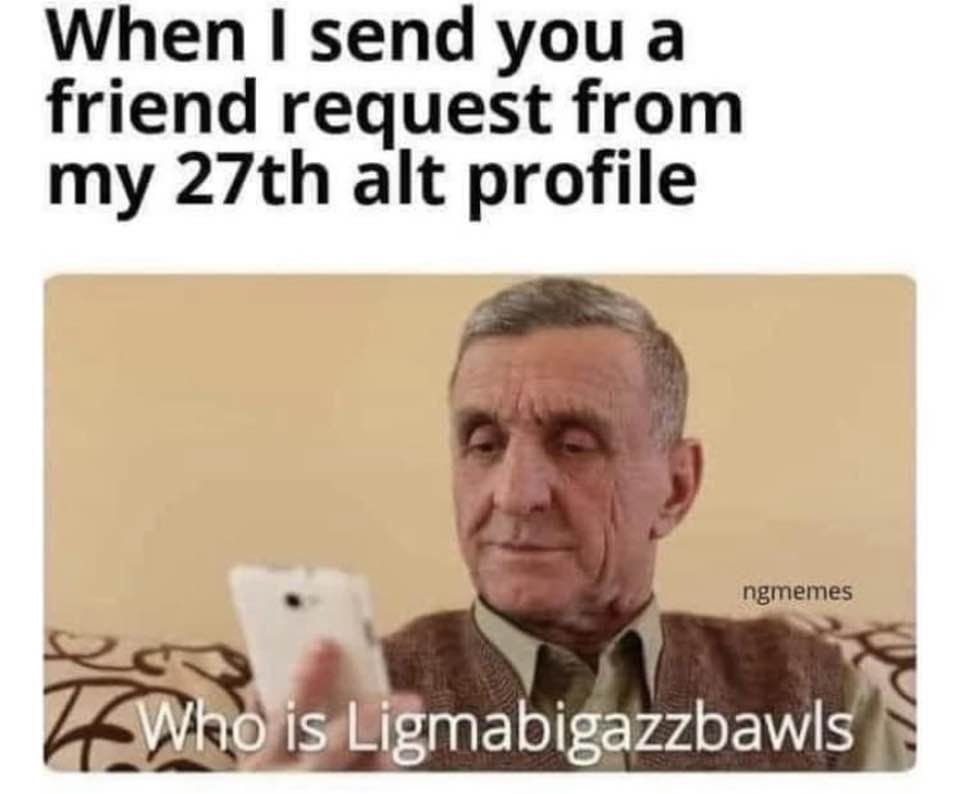 memes about internet life and culture -  mind your head sign - When I send you a friend request from my 27th alt profile ngmemes Who is Ligmabigazzbawls