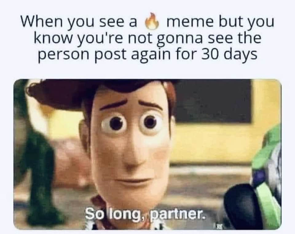 memes about internet life and culture -  photo caption - When you see a meme but you know you're not gonna see the person post again for 30 days So long, partner.
