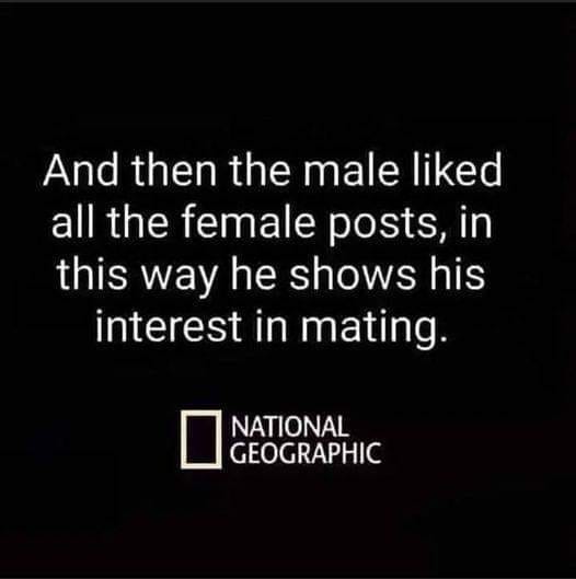 memes about internet life and culture -  national geographic - And then the male d all the female posts, in this way he shows his interest in mating. National Geographic