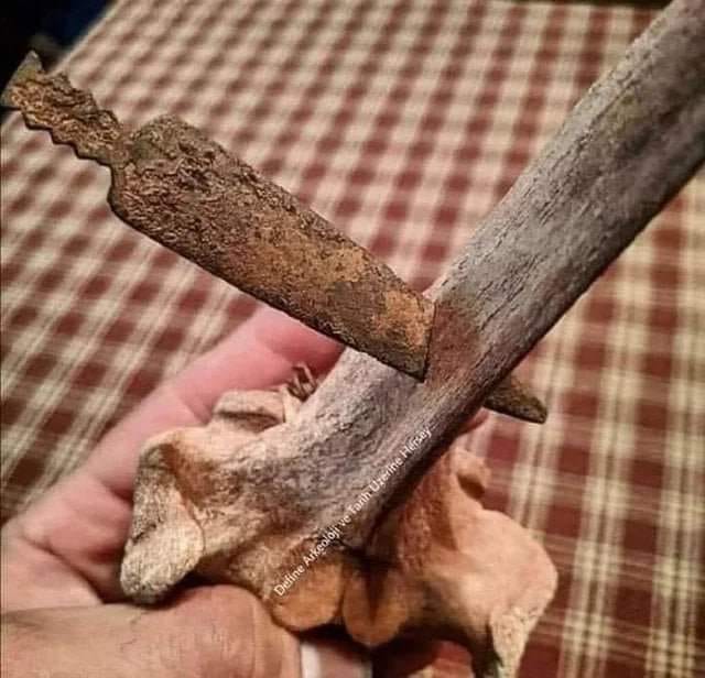 This is a spear through bone, gaelic wars edition