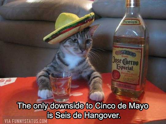 Cinco De Mayo