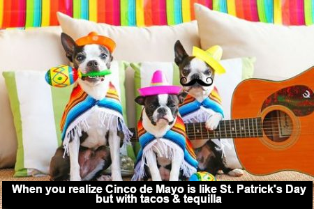 Cinco De Mayo