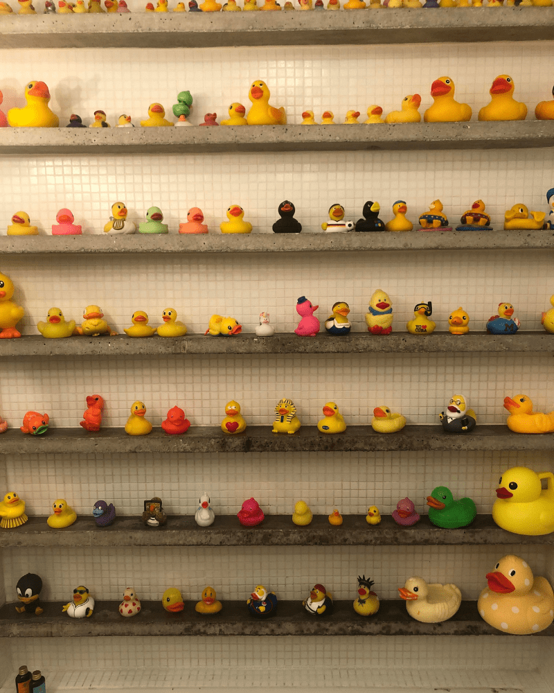 Crazy about duckies? This collector's quacked up