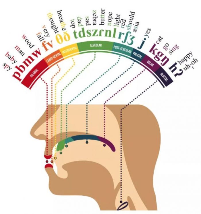 43 cool charts to explain life