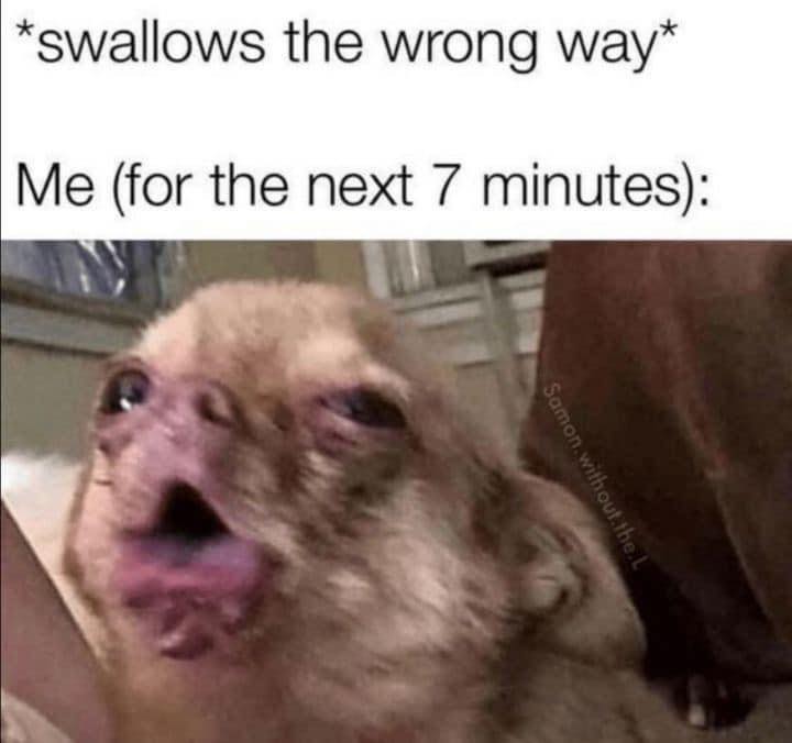 42 of the funniest things you'll see in the next five minutes