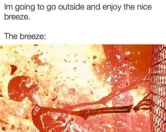 Surviving the heatwave, a collection of meme-orable melt downs