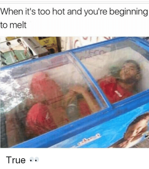 Surviving the heatwave, a collection of meme-orable melt downs