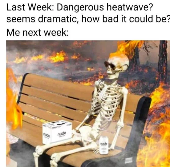 Surviving the heatwave, a collection of meme-orable melt downs