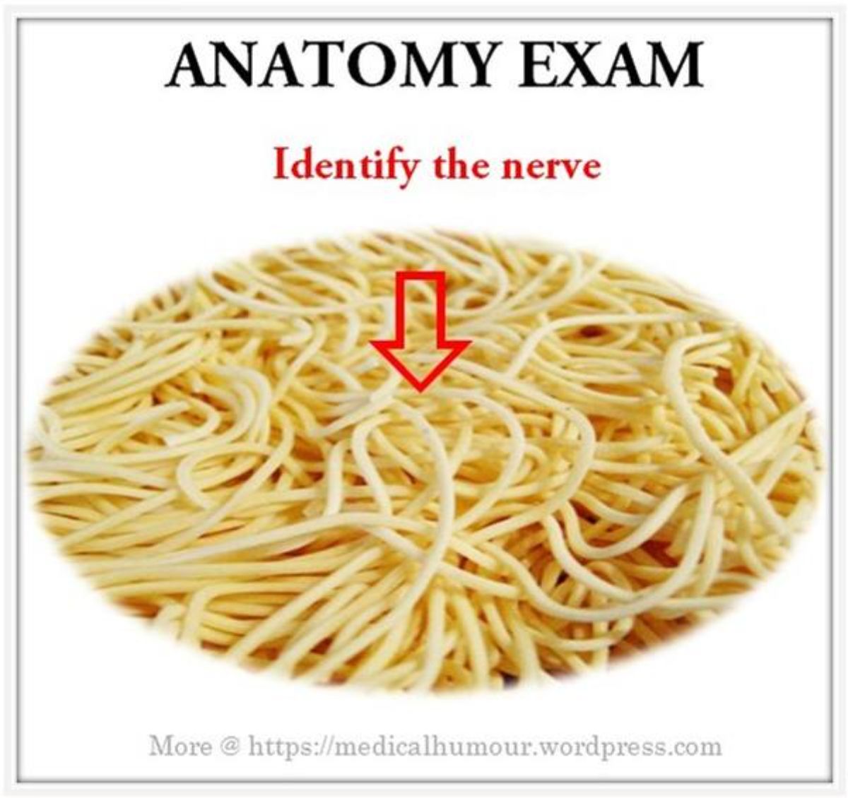 Dose of laughs: RX for docs & med students