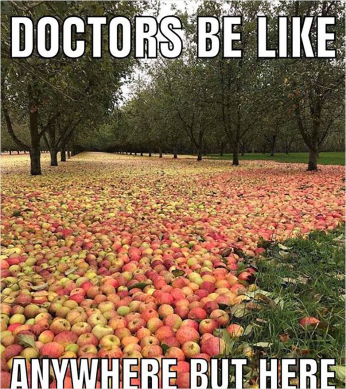 Dose of laughs: RX for docs & med students