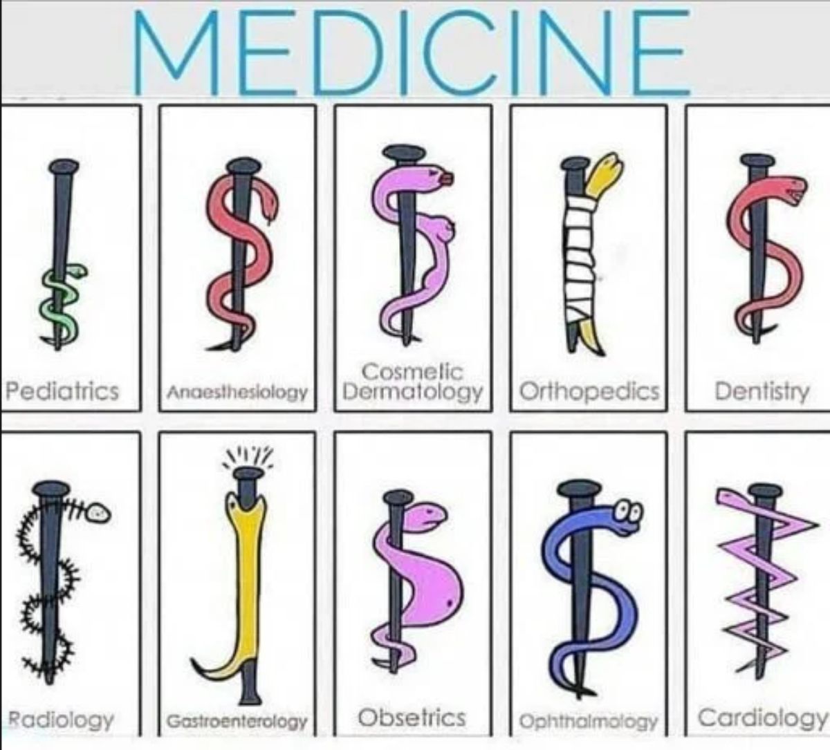 Dose of laughs: RX for docs & med students