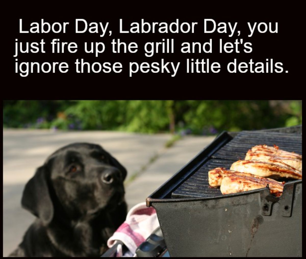 Labor Day laughs: A cookout of comedy