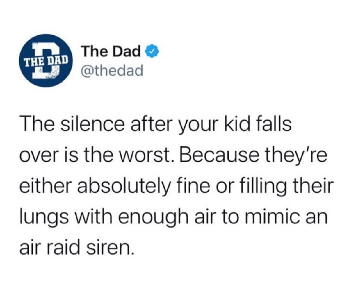 majorelle blue - The Dad The Dad The silence after your kid falls over is the worst. Because they're either absolutely fine or filling their lungs with enough air to mimic an air raid siren.