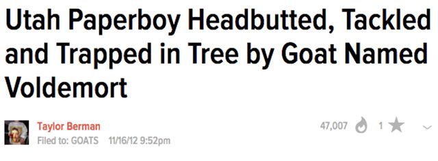angle - Utah Paperboy Headbutted, Tackled and Trapped in Tree by Goat Named Voldemort 47,007 i Taylor Berman Filed to Goats 111612 pm