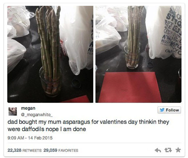asparagus daffodils - Ut 5S Go A1912 Reuset Me megan dad bought my mum asparagus for valentines day thinkin they were daffodils nope I am done 22,328 29,059 Favorites ht