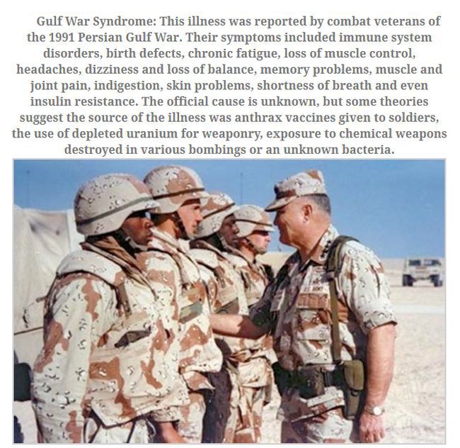 persian gulf war - Gulf War Syndrome This illness was reported by combat veterans of the 1991 Persian Gulf War. Their symptoms included immune system disorders, birth defects, chronic fatigue, loss of muscle control, headaches, dizziness and loss of balan