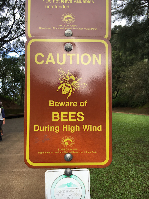 signage - Do not leave valuables unattended. State Of Hawaii Department of Land and Natural Resources State Parks Caution Beware of Bees During High Wind State Of Hawai'I Department of Land and Natural ResourcesState Parks Land & Water Conservation Fiind